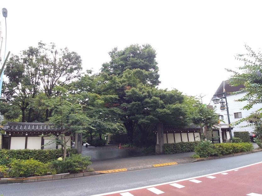 高円寺のクワ_c0099300_16545755.jpg