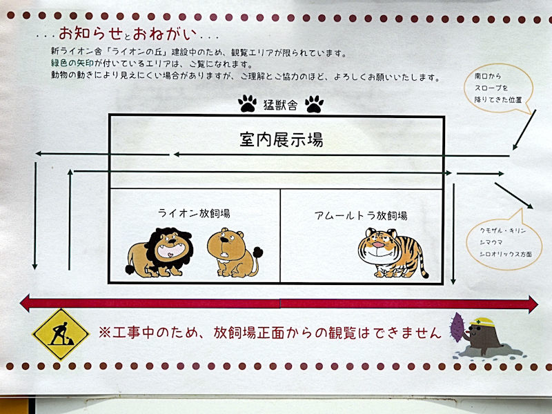 新ライオン舎建設中 : 動物園放浪記