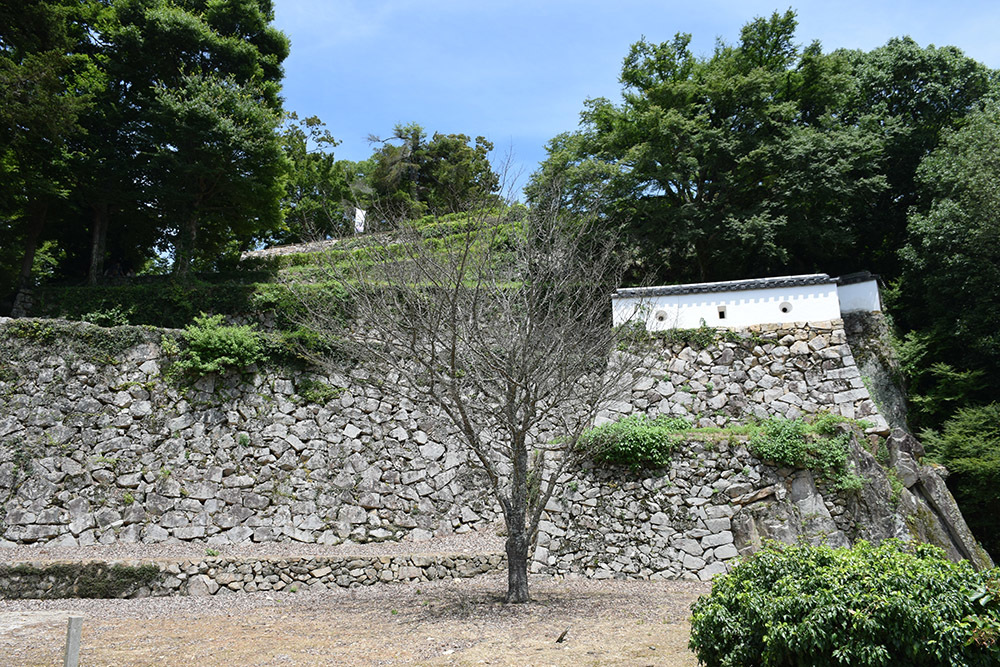 現存天守唯一の山城、備中松山城攻城記。 その2 <大手門~三ノ丸>_e0158128_22461293.jpg