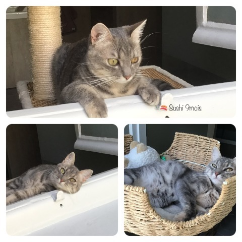 7月16日_c0134071_21500938.jpeg