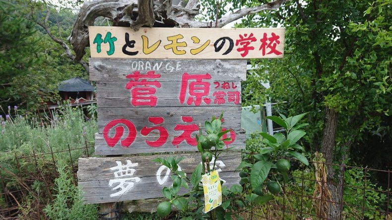 太陽系は約46億年前、銀河系（天の川銀河）の中心から約26,000光年離れた、オリオン腕の中に位置。_b0416574_14283382.jpg