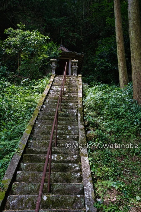 中津川稲荷大明神-参道_e0135098_00421138.jpg