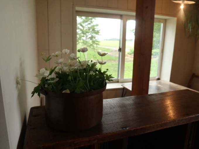 北海道の取材ついでにプライベートも楽しんじゃいました！！･････その１_b0331802_23210858.jpg