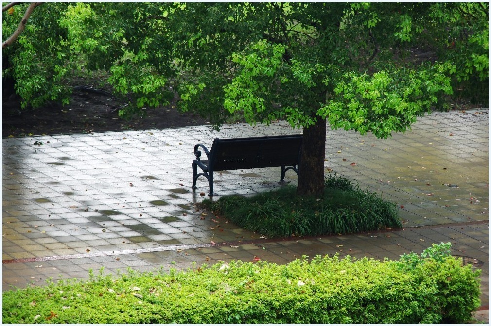 雨上がりの街_c0352813_11021406.jpg