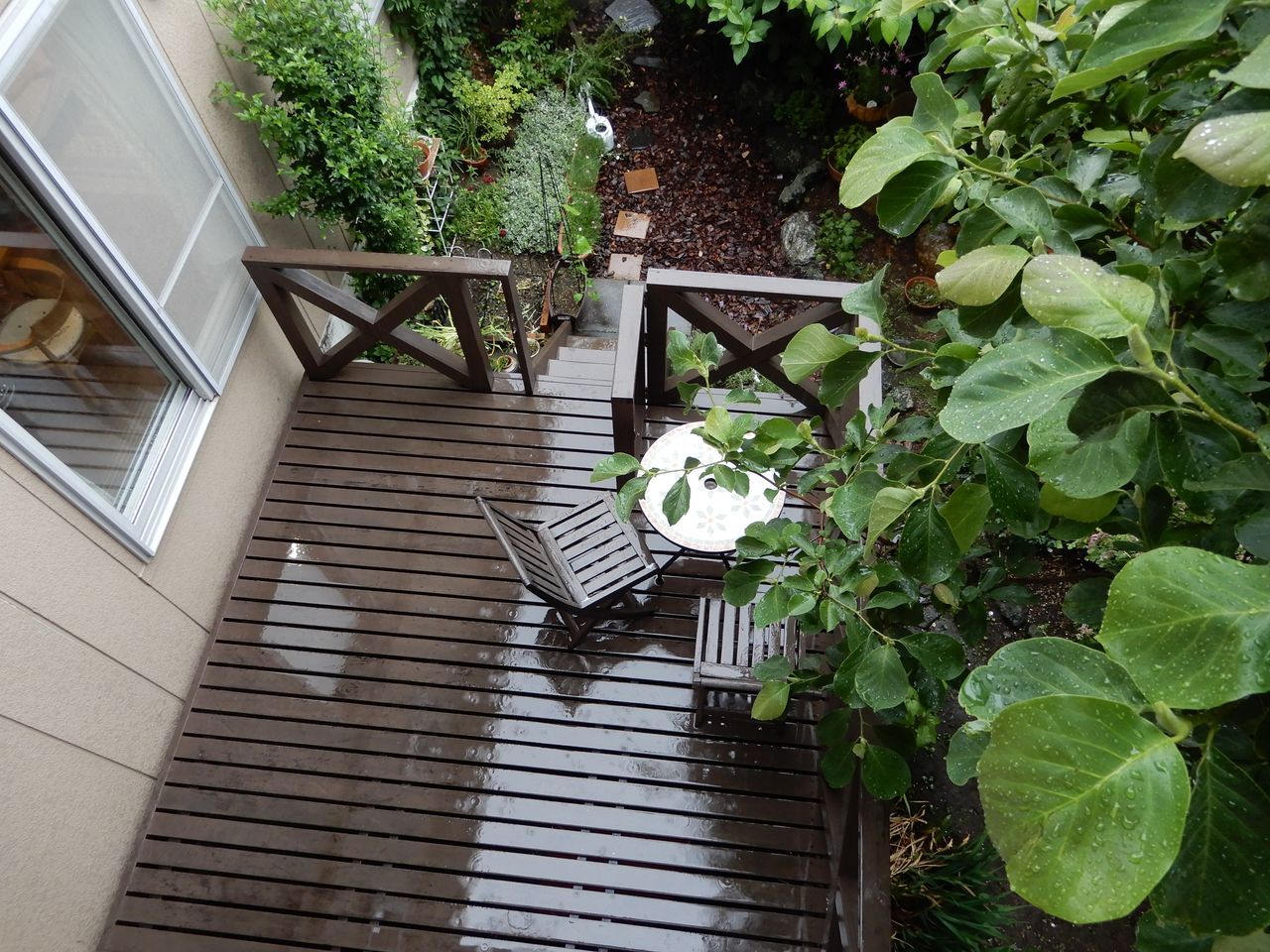 本格的な雨の一日_c0025115_23133991.jpg
