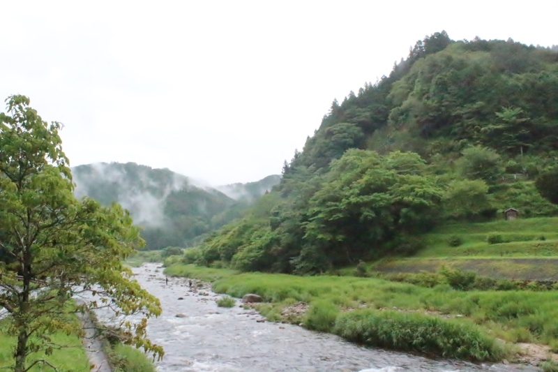 茶温会、お茶づくり_b0220318_17440171.jpg