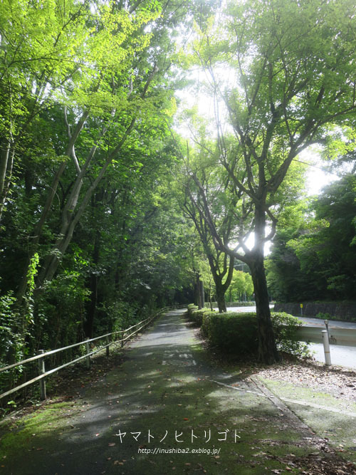 最近食べたもの【夏至】③_e0394031_10160000.jpg