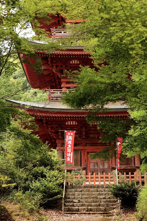 22.6.25の石峯寺（しゃくぶじ）_a0143839_12222725.jpg