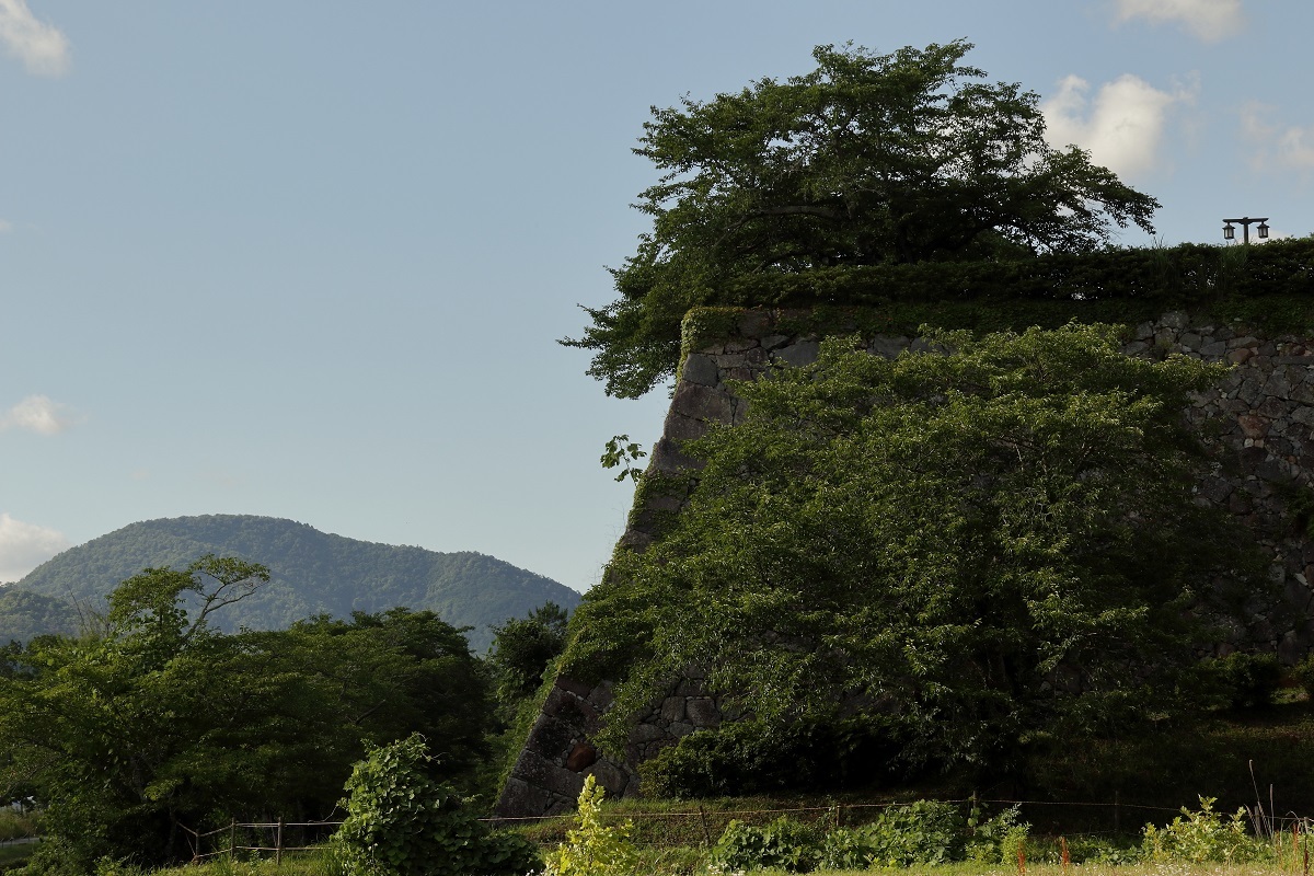 2022.7月 丹波篠山_a0143839_14540744.jpg