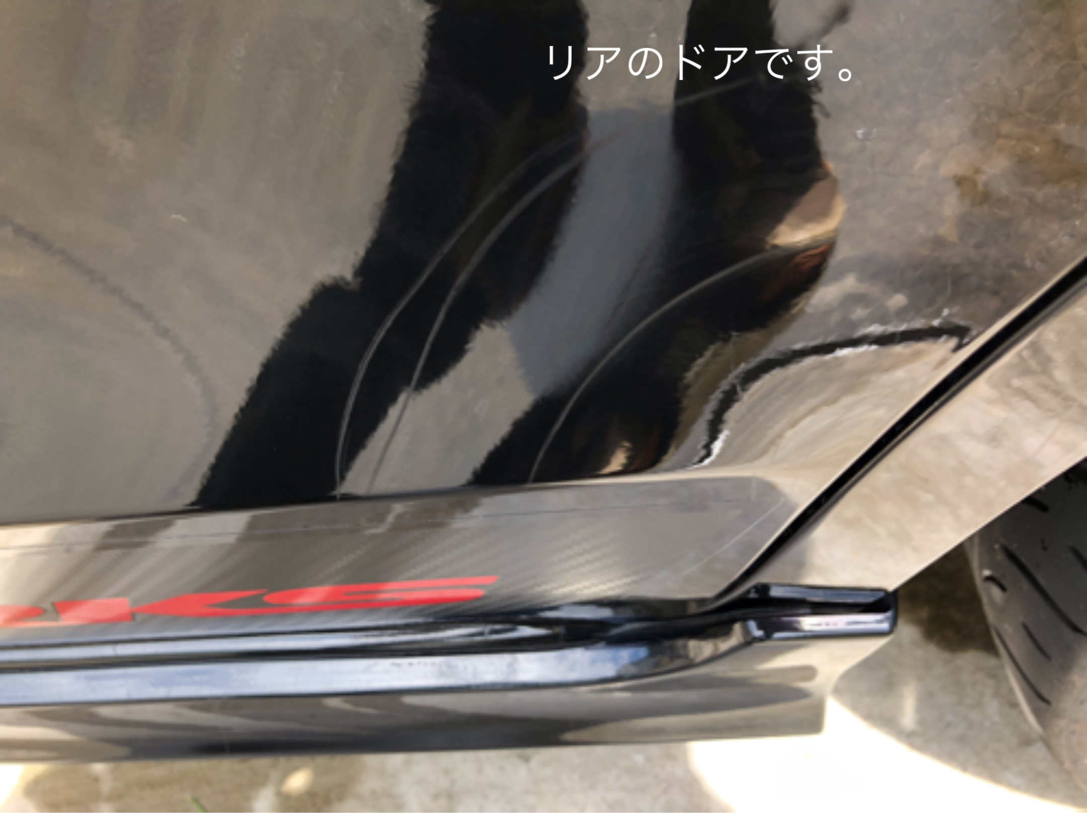 猛獣の爪痕_e0094656_12321894.jpeg