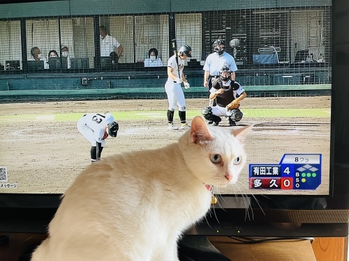 ベスト8_d0195183_03452420.jpeg