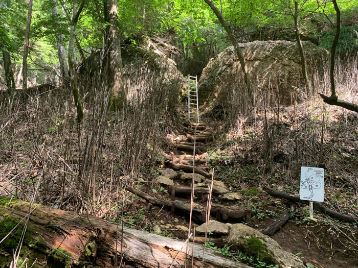 祖母山に登りました_f0059684_21483013.jpg