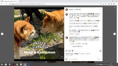 うたた夢まぼろしのごとく_d0085887_22491400.jpg
