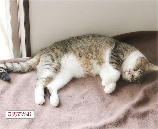 なーんでもない、しあわせ_a0389088_10135451.jpg