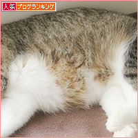 なーんでもない、しあわせ_a0389088_10135552.jpg