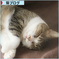 なーんでもない、しあわせ_a0389088_10135569.jpg