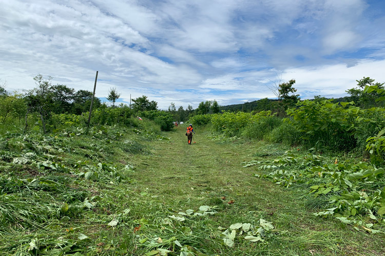 7月9日(土)NPO新山川草木 22世紀の森 草刈り_c0173813_12153677.jpg
