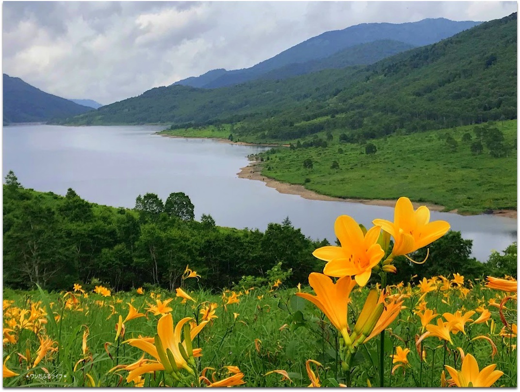 * 天空の湖　Lake NOZORI *_d0317115_21411818.jpg