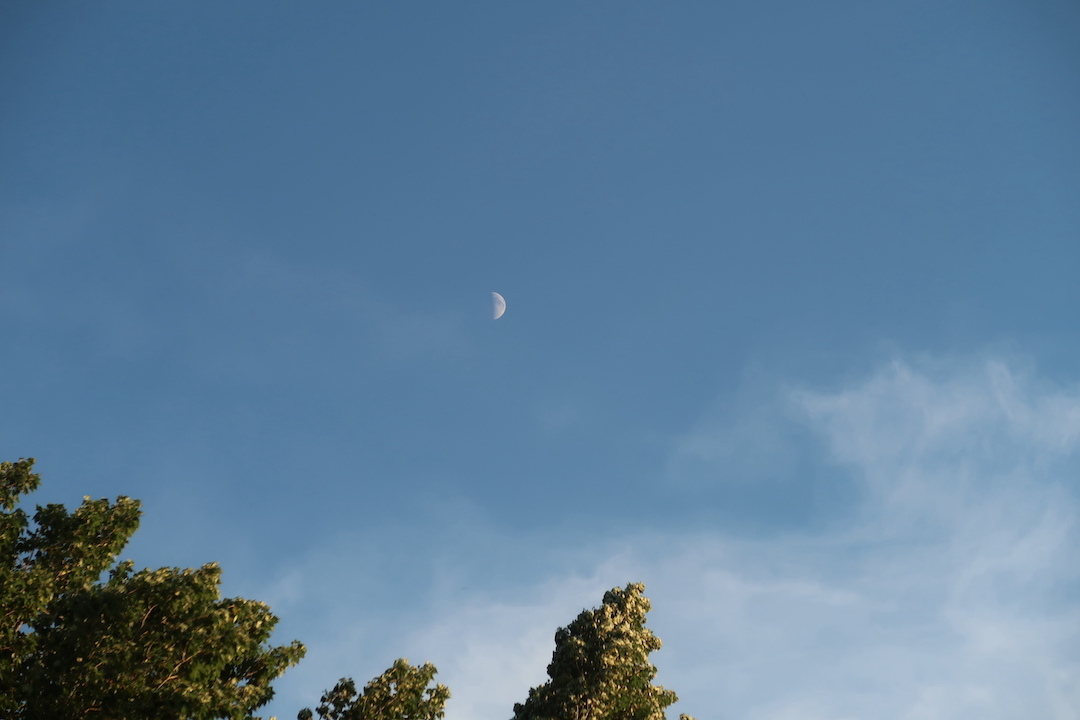 金色に輝く夕日と湖とピザとサップボード_f0234936_23420123.jpg