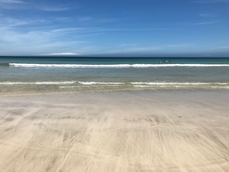 夏、始まってます！_d0386342_16322984.jpg