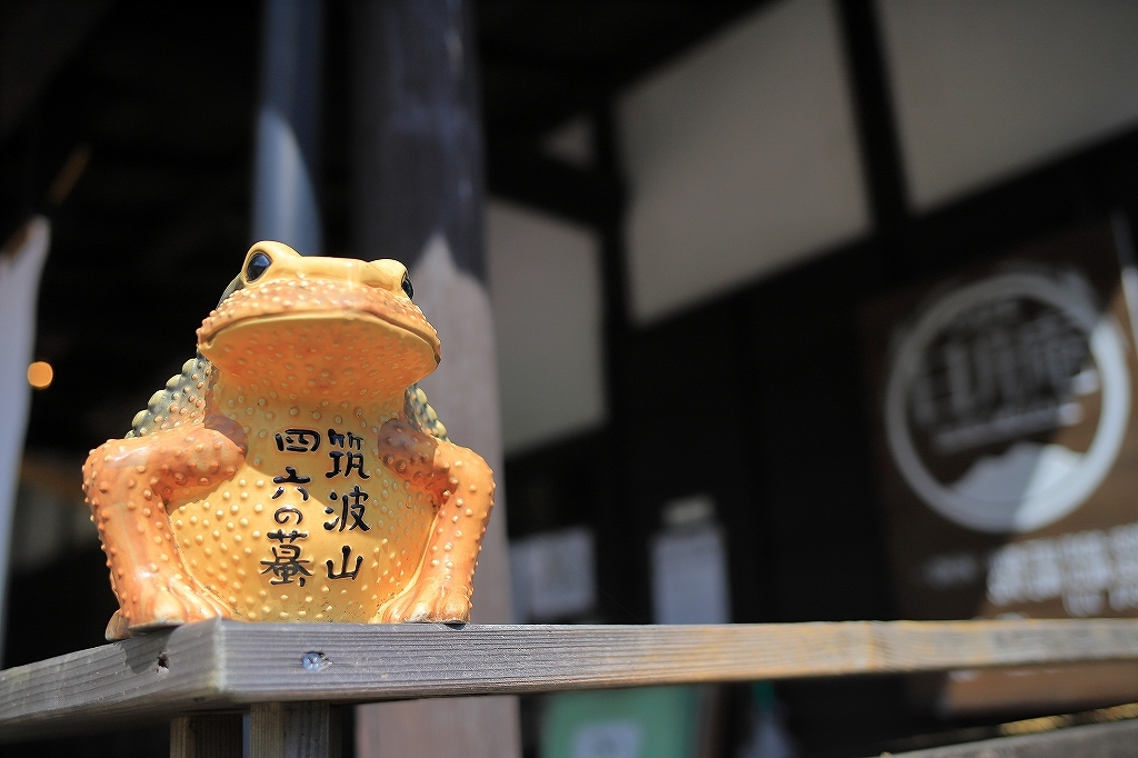 *茨城/筑波*「日升庵」_c0400777_21014074.jpg