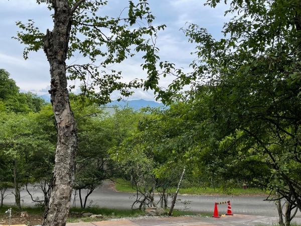 八ヶ岳高原ロッジN田さん邸の現場より 5_a0211886_02034438.jpg