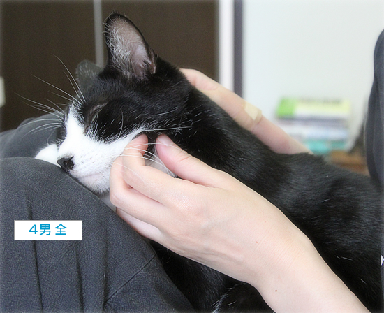 気持ちいいですか?_a0389088_16393876.jpg