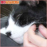気持ちいいですか?_a0389088_16393900.jpg