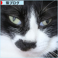 気持ちいいですか?_a0389088_16393932.jpg