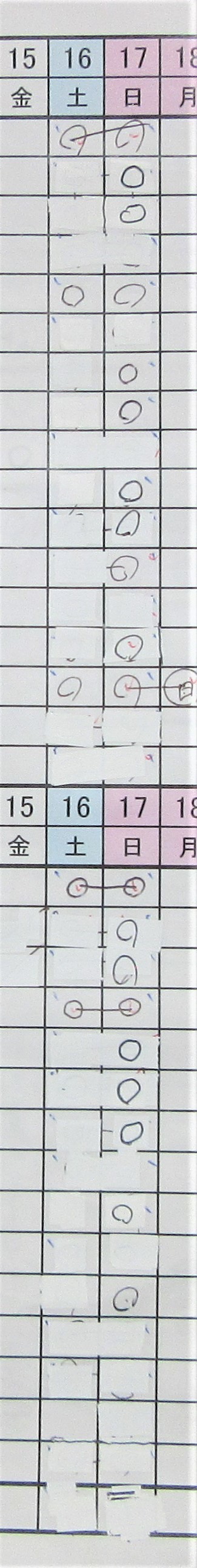 連休の反省デ～ス。_b0219993_16213926.jpg
