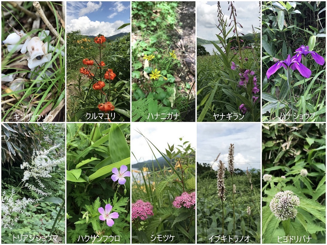 * 天空の湖 Lake NOZORI *_d0317115_15061369.jpg