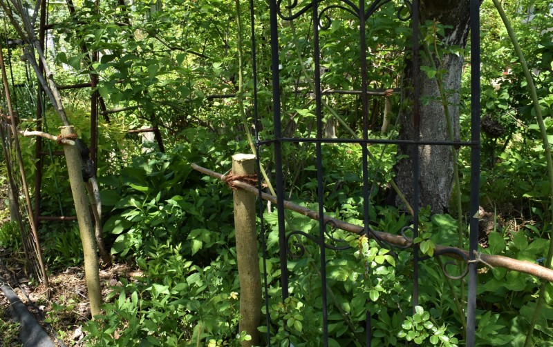 庭にメリハリ　‼～柵を作る～_b0280025_16191895.jpg