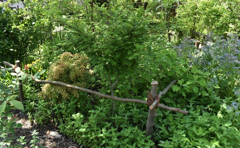 庭にメリハリ　‼～柵を作る～_b0280025_16504456.jpg