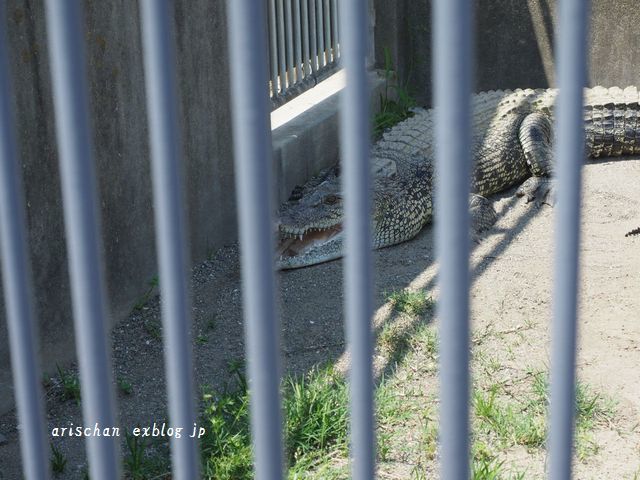 別府温泉で蒸し料理を食べたよ～＠九州旅行Ｒ４年その１_e0406439_17243099.jpg