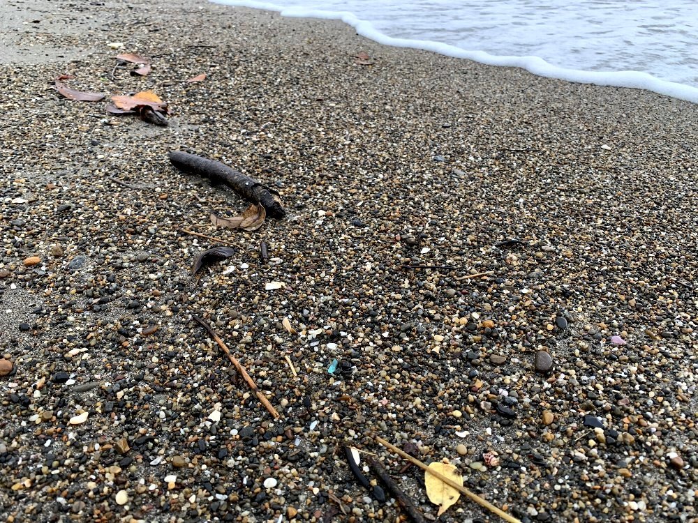 ☆千葉内浦海岸行き・シーグラス集め☆_c0092953_01354630.jpg