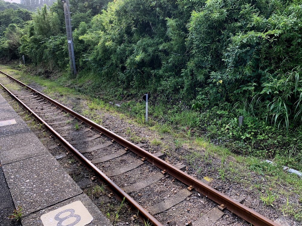 ☆千葉内浦海岸行き・シーグラス集め☆_c0092953_01435146.jpg