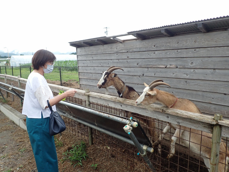 当分、行けない家族旅行？？ 1/2 伊那 開田高原 高山_a0339187_16365972.jpg