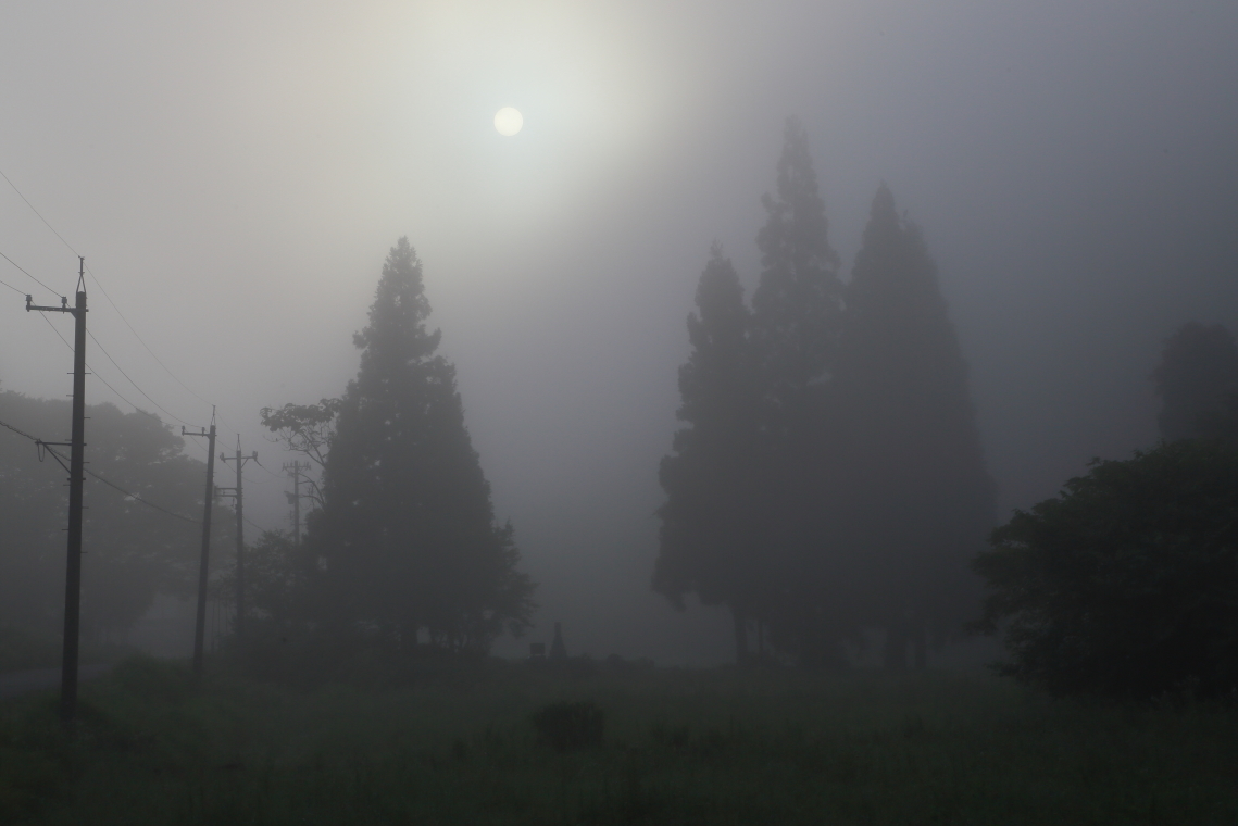霧の朝_b0178102_05390892.jpg