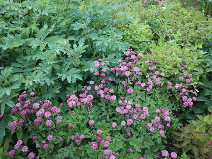北海道の取材ついでにプライベートも楽しんじゃいました！！･････その４_b0331802_23492324.jpg