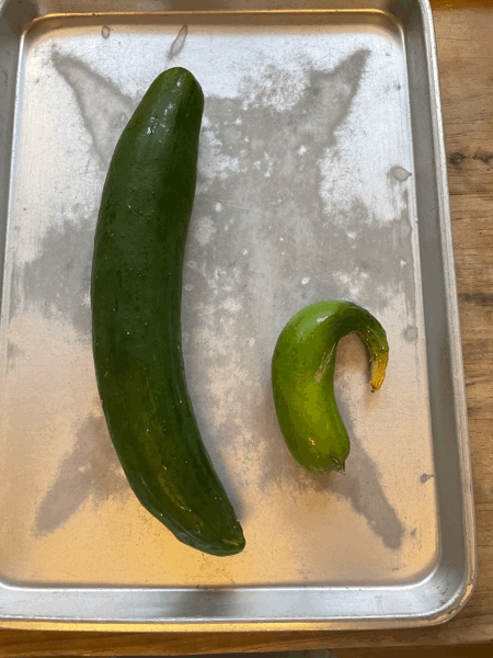 7/21の給食_c0293682_18242875.gif