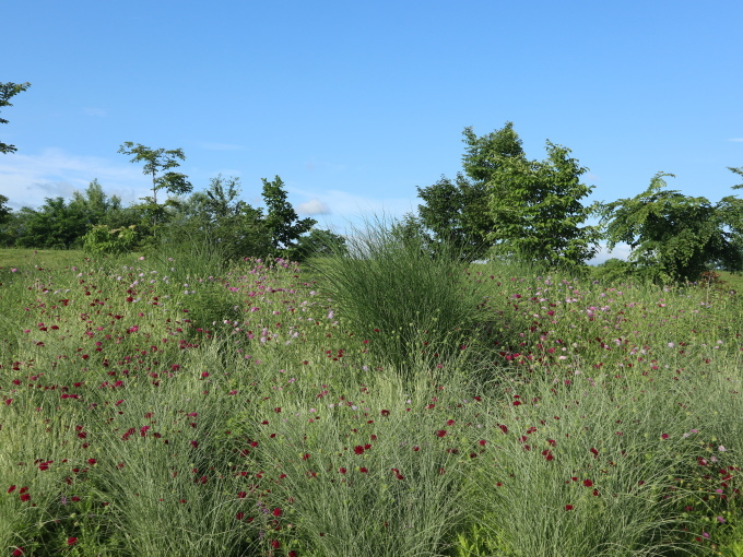 北海道の取材ついでにプライベートも楽しんじゃいました！！･････その５_b0331802_23220767.jpg
