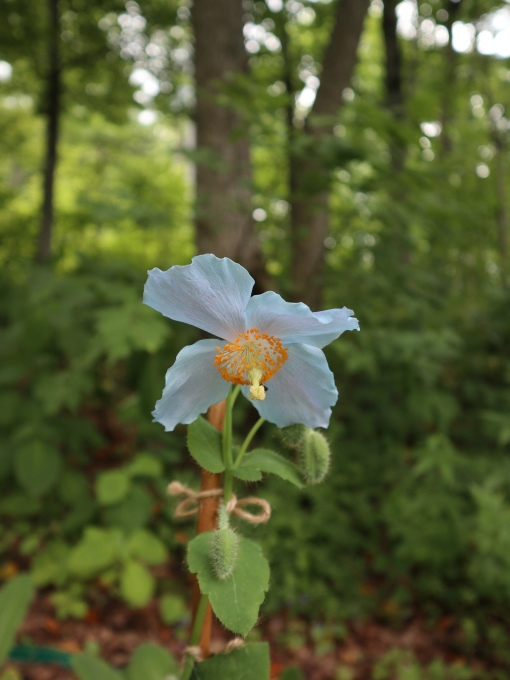 北海道の取材ついでにプライベートも楽しんじゃいました！！･････その５_b0331802_23543316.jpg