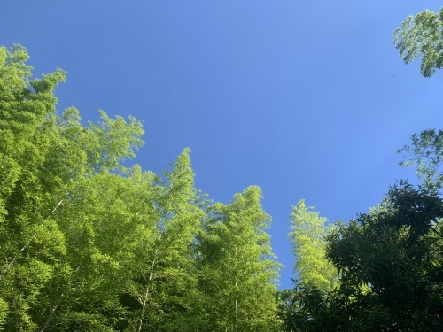 ラジオ体操♪_e0071035_07493453.jpeg
