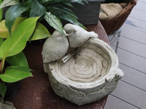 サンクスセール7月31日まで開催中_b0137969_05542325.jpg