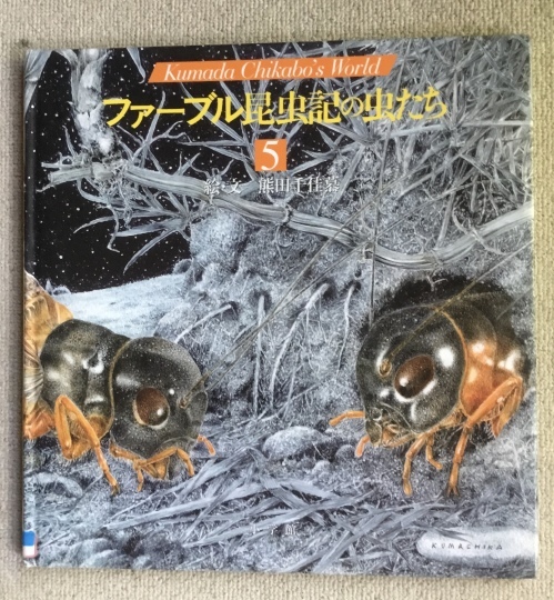 ファーブル昆虫記の虫たち 5 絵・文 熊田千佳慕 小学館 2008年9 ファーブル昆虫記の虫たち 5 絵・文 熊田千佳慕 小学館 2008年9