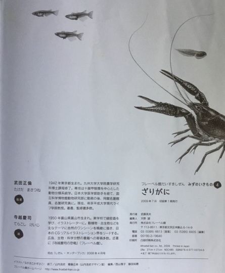 かがくのとも キンダーブックしぜん ざりがに にほんざりがに