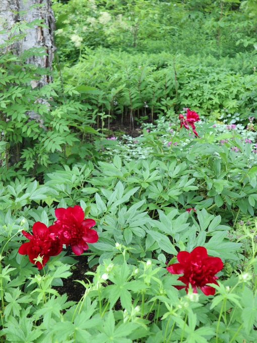 北海道の取材ついでにプライベートも楽しんじゃいました！！･････その５_b0331802_00055325.jpg