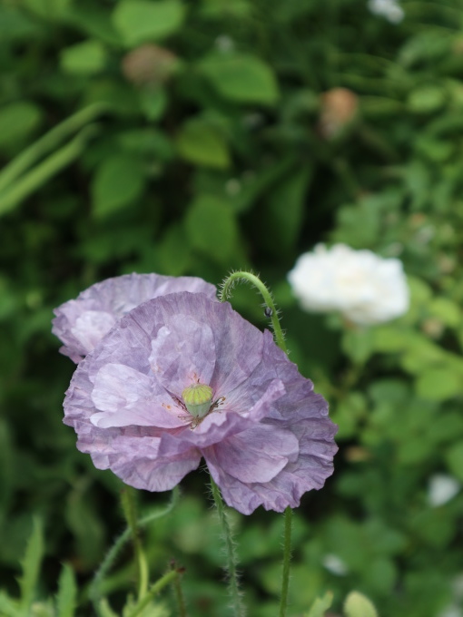北海道の取材ついでにプライベートも楽しんじゃいました！！･････その６_b0331802_23274550.jpg