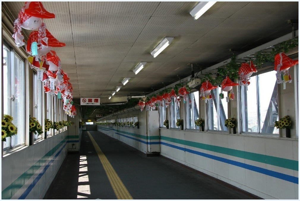 沖舘川の記憶_c0352813_10271729.jpg