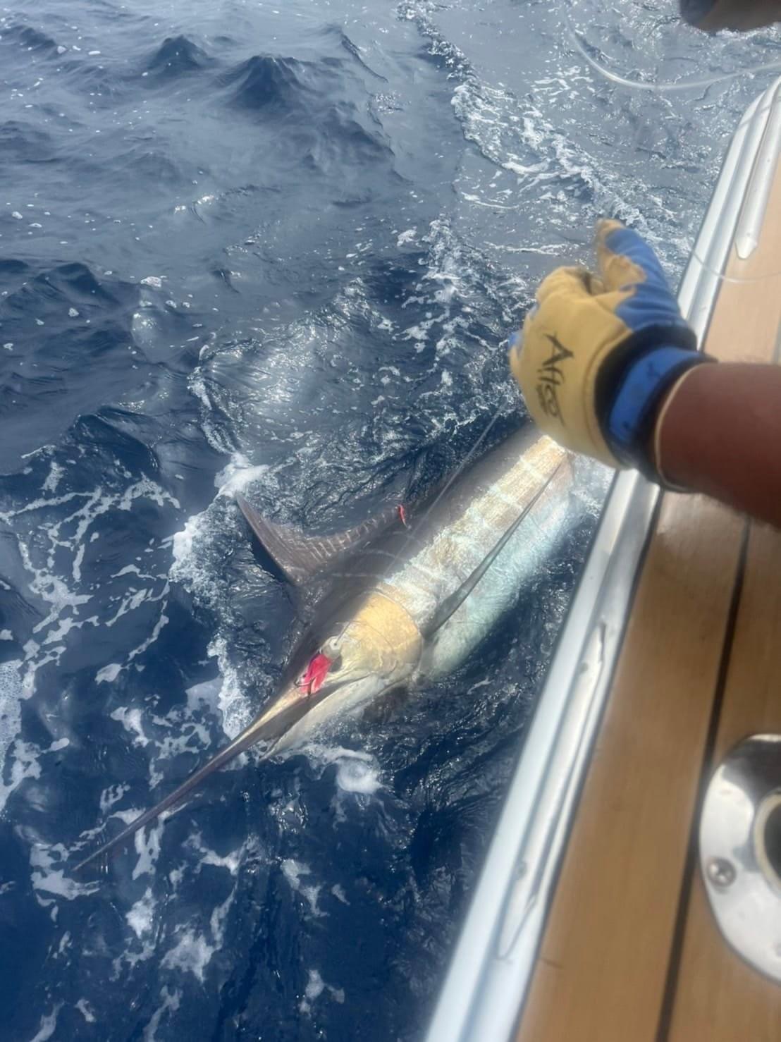 JIBT初日に185.5キロ釣った!!_f0009039_13282686.jpeg